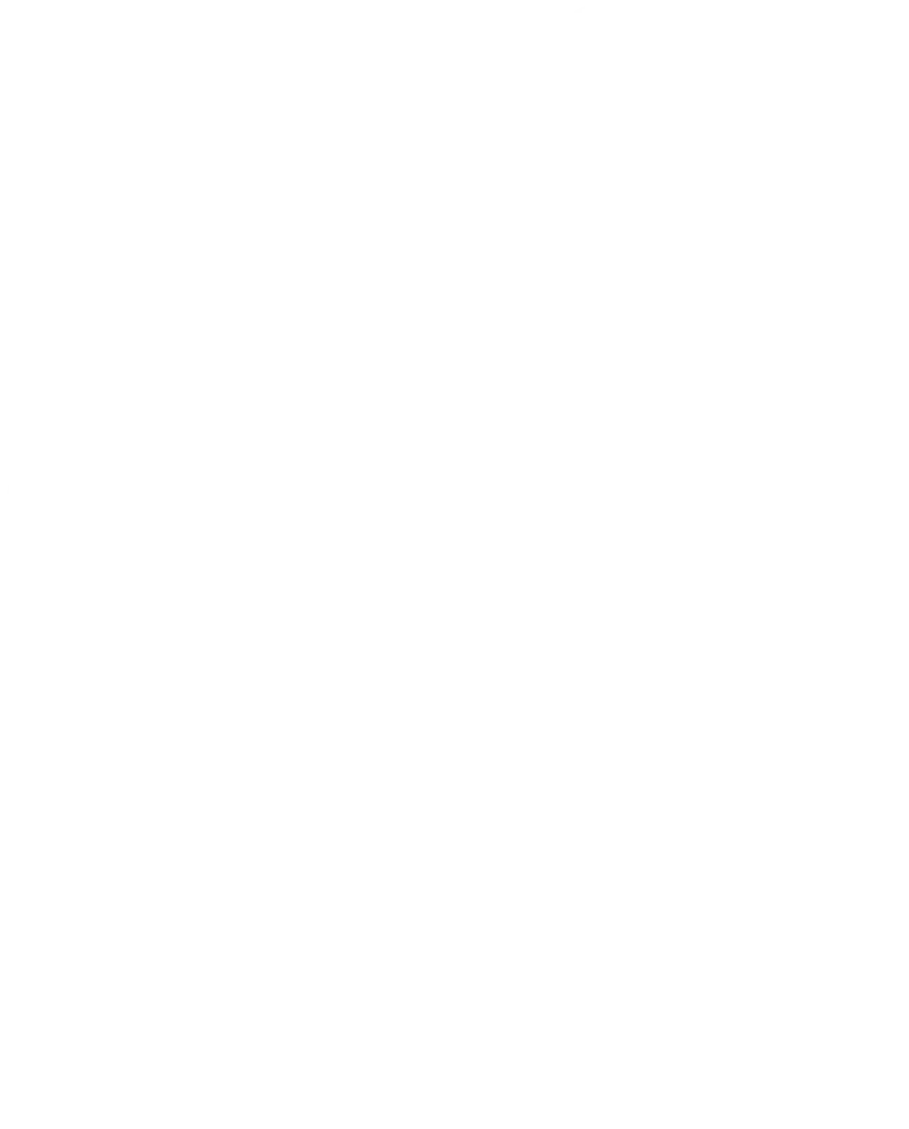 Las cositas de Lirio